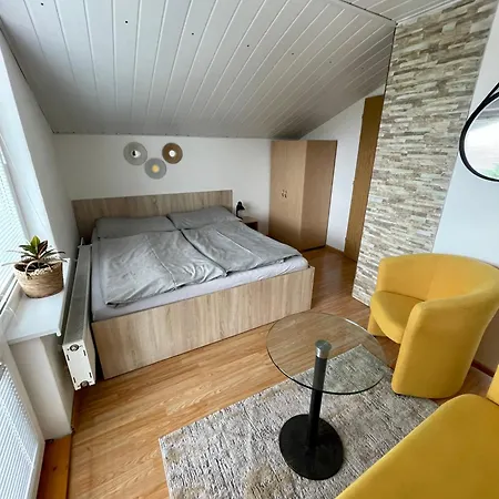 Holiday Lester Guest house Spisske Tomasovce