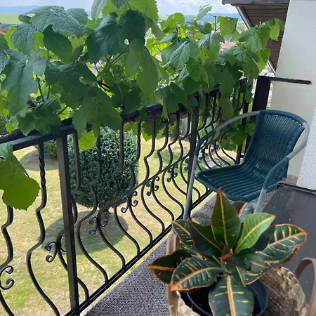 Lester Casa de hóspedes *