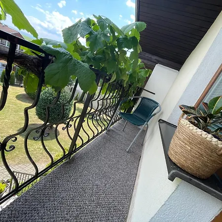 Casa de hóspedes Lester *