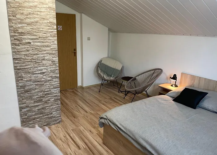 Lester Spišské Tomášovce