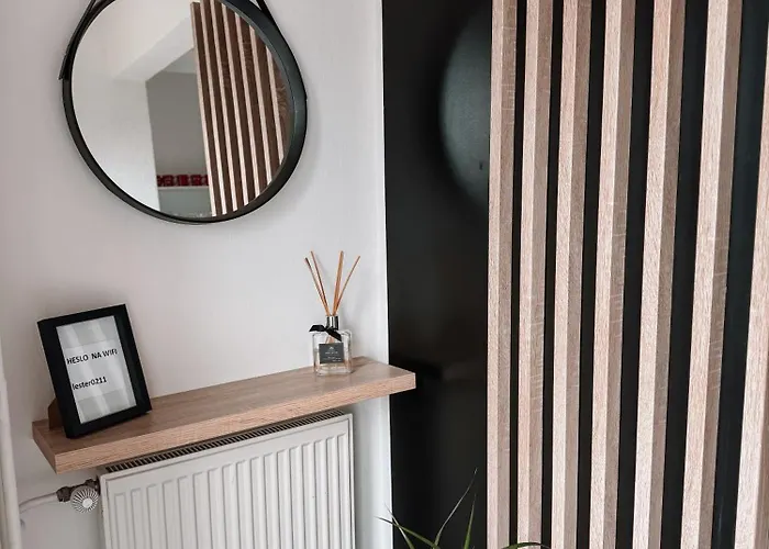 Lester Spišské Tomášovce