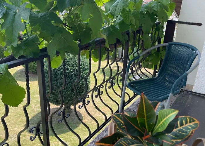 Lester Vendégház *