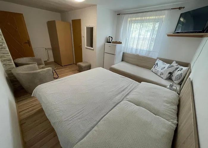 Lester Spišské Tomášovce